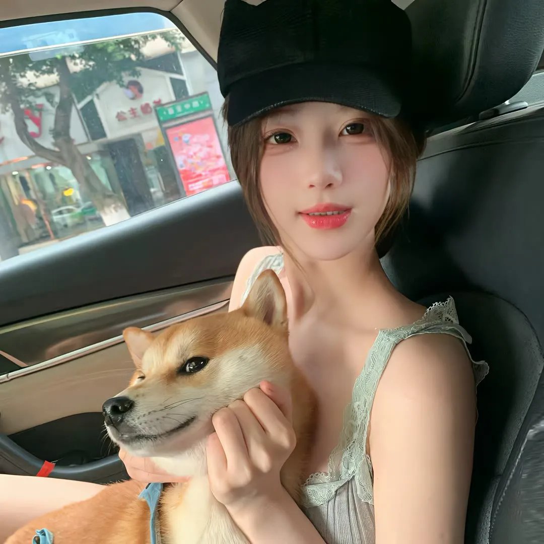 雾中湖海报