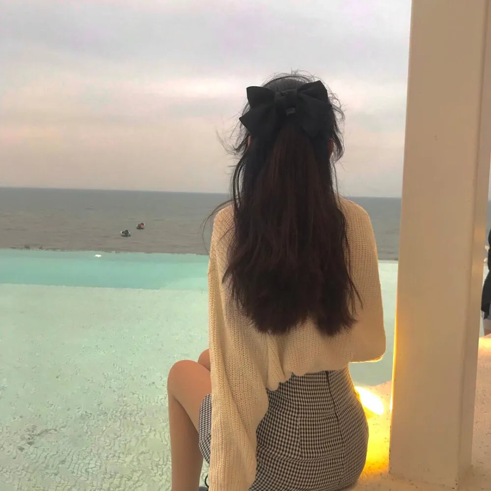 中国鸟人海报