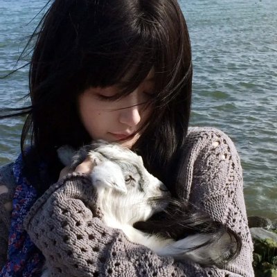 血滴亚历克斯之房海报